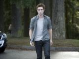Robert Pattinson as the calculated, intelligent and sparkly vampire Edward Cullen
