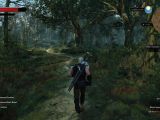 Visit forests in The Witcher 3