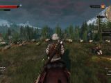 Visit sheep in The Witcher 3