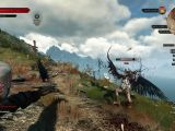 Intense combat in The Witcher 3