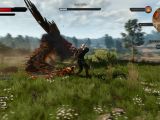 Battle griffins in The Witcher 3