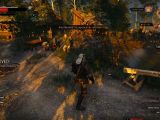 Liberate areas in The Witcher 3
