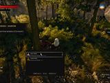 Loot enemies in The Witcher 3