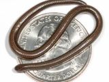 The smallest snake in the world rests atop a US quarter