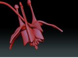 3D printed flower model