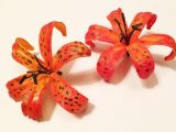 3D printed flowers, painted