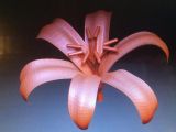 3D printed flower, unpainted