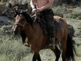 For comparison purposes, here is a photo of the real Vladimir Putin