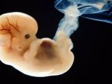 Scientists claim to have genetically altered human embryos