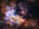 The Westerlund 2 star cluster