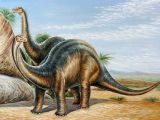 The Brontosaurus was a distinct genus after all