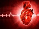 Cocaine takes its toll on the heart, ups sudden death risk