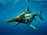 Ancient reptile in Scottish waters resembled a dolphin