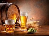 Beer could help fight neurodegenerative disorders
