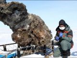 Mammoths could soon return to life