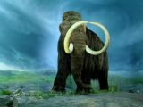 Mammoth DNA planted in elephant cells