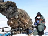 This one mammoth corpse could help resurrect the species