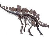 This dinosaur skeleton will soon go on display in London