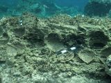 Underwater Pompeii found in Greece