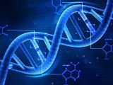 DNA can survive space conditions
