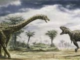 Ampelosaurus and Tarascosaurus