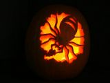 “Traditional” type of pumpkin: a spider