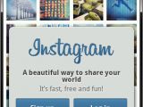 Bogus Instagram for PC app