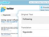 The Twitter translation interface