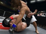 UFC Undisputed 3 features Pride matches
