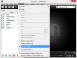The tool offers support for automatic subtitle downloads and manual corrections.