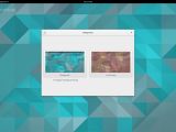 Ubuntu GNOME 15.04 with backgrounds