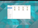 Ubuntu GNOME 15.04 with File Manager