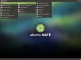 Ubuntu MATE 15.04: The Applications Menu - System