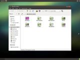Ubuntu MATE 15.04: The default file manager