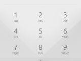 The dialer