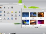 Ultimate Linux Mint 1.4