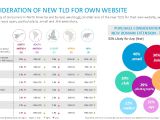 Consideration to new TLD for own website