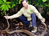 The snake was found by wildlife expert Matt Hagan