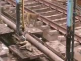 The incident occured at a train station in India