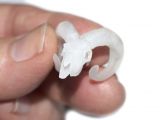 3D printed skull art