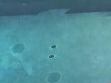 The circles travel together all the way to the other side of the pool