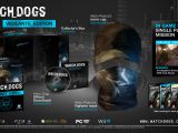 Watch Dogs Vigilante Edition