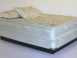 The average mattress is home to about 100,000 such organisms