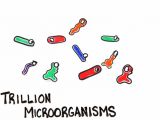 These organisms form the so-called microbiome