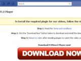 Rogue Facebook application offers fake FLV Player update
