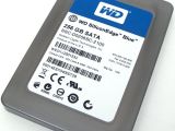WD SiliconEdge Blue SSD