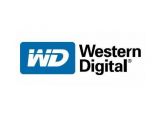 WD buys flash expert