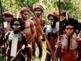 These papuan men wear richly decorated wigs