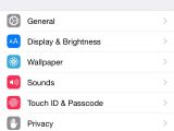 iOS 8 Settings panel