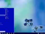 Windows 10 Start menu search